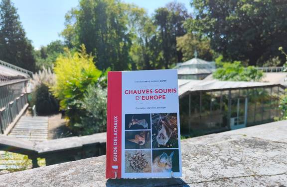 photo livre sur les chauves-souris d'Europe, Delachaux et Niestlé