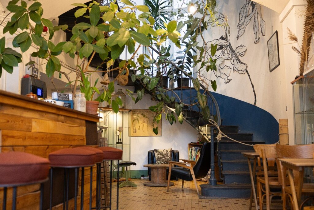 Photo philodendron dans le café Péristyle